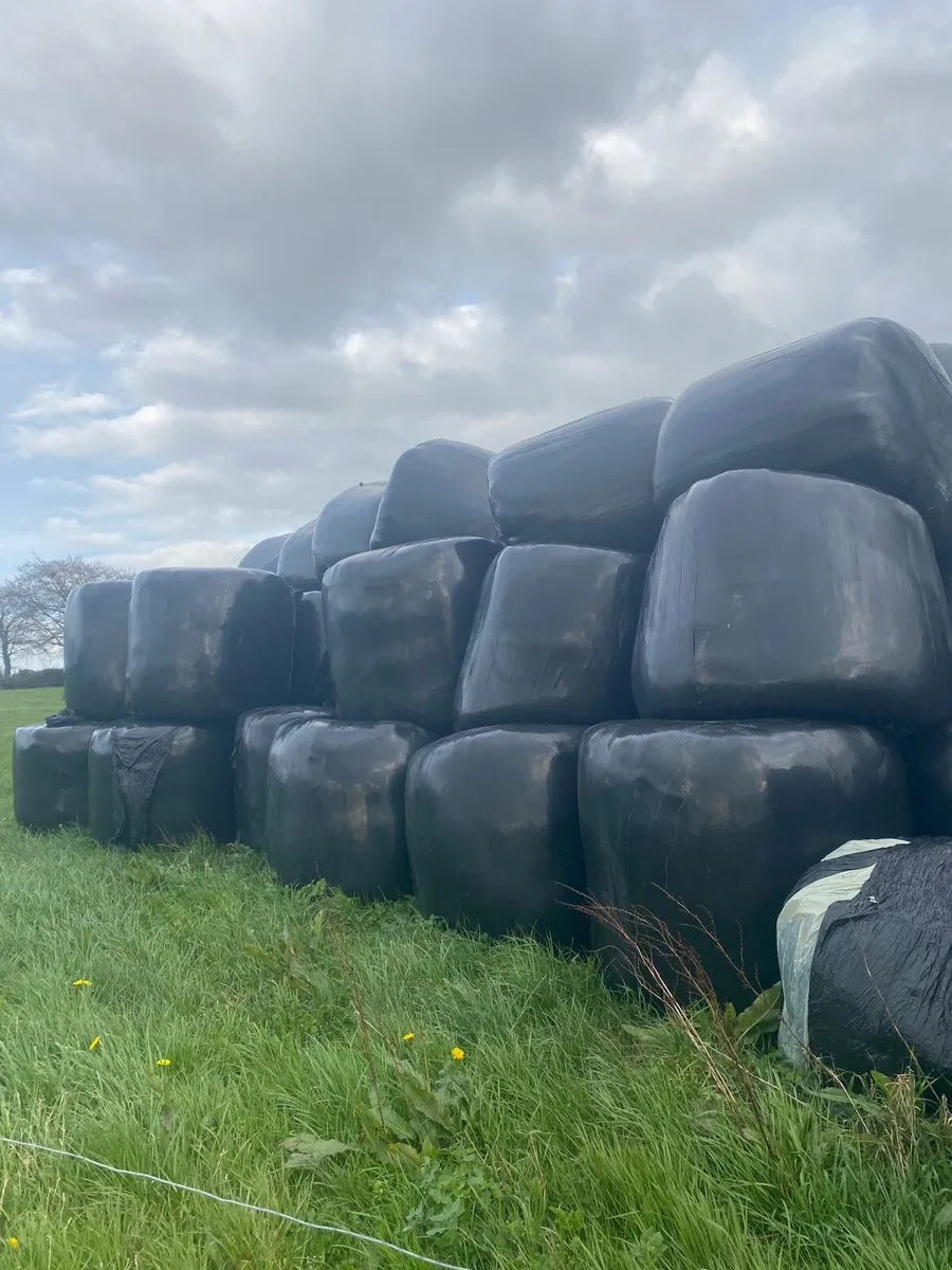Quality Silage bales - Image 1