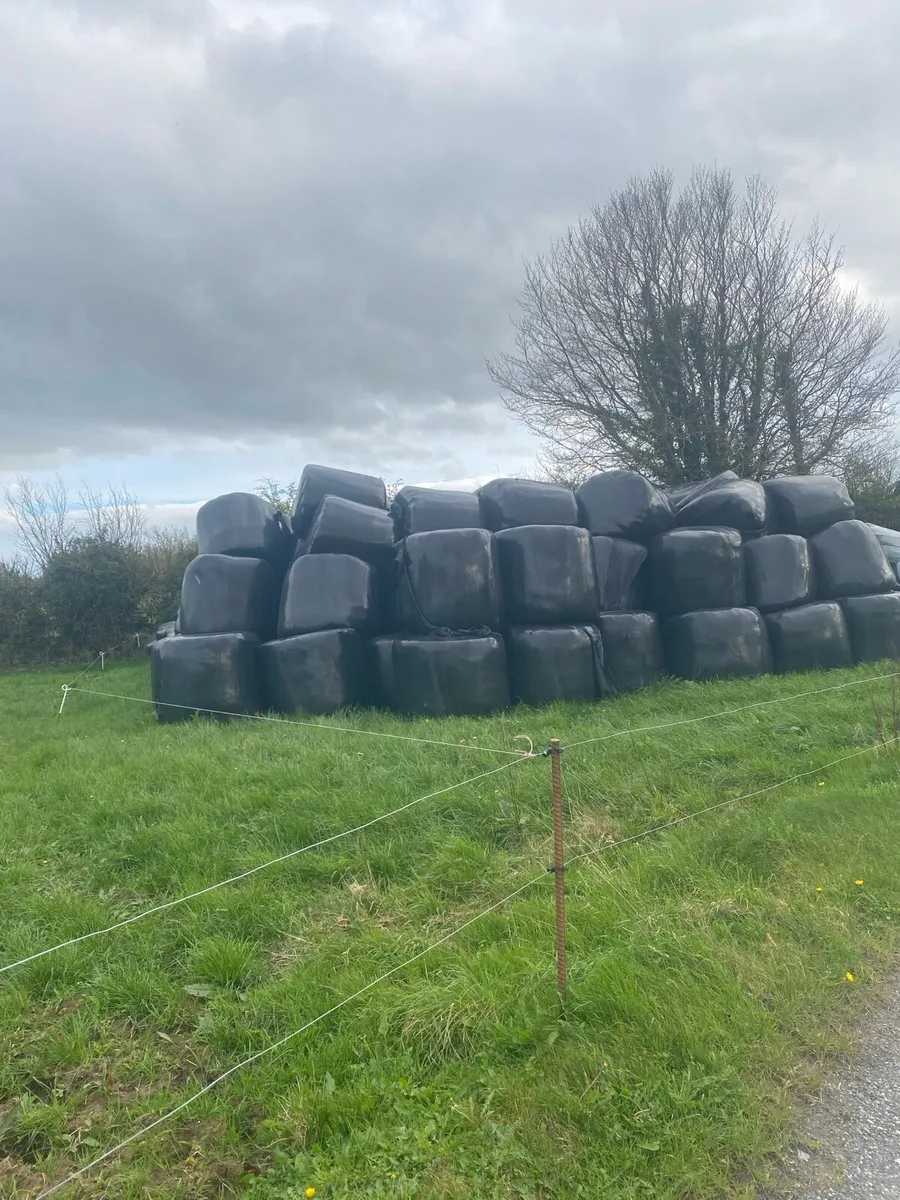 Quality Silage bales - Image 2