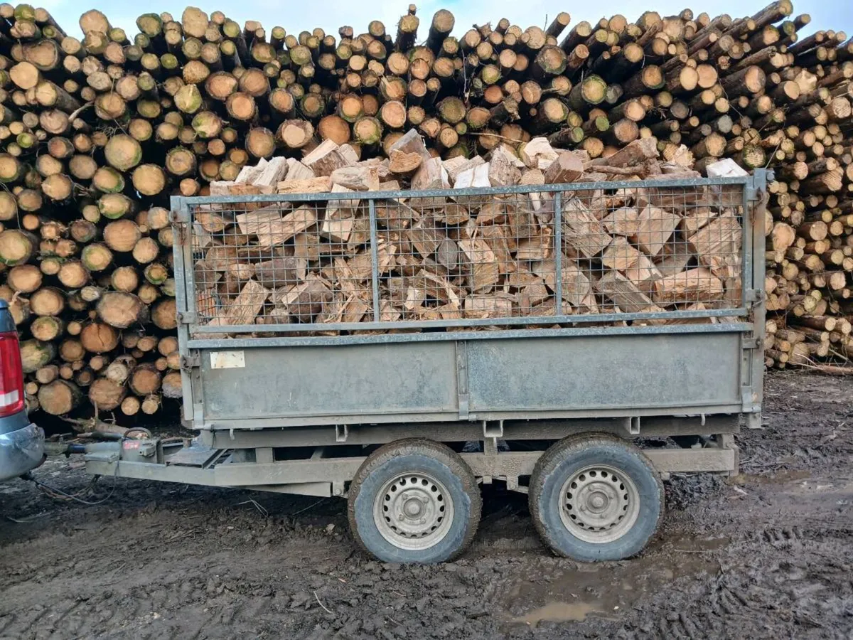 Firewood 8x5x4 bulk load - Image 4