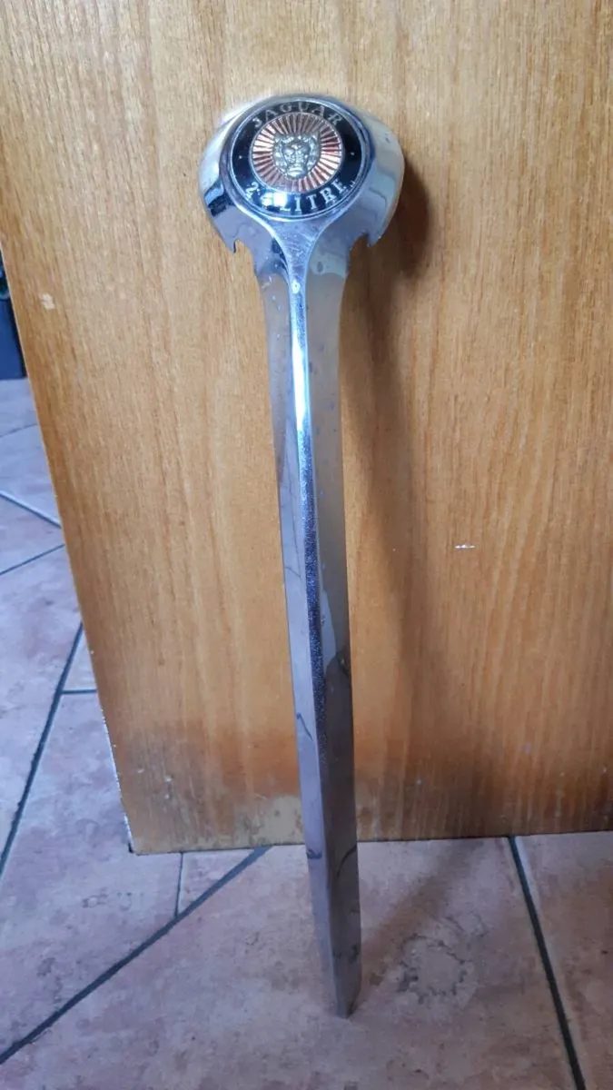 Jaguar Mk2 Emblem - Image 4