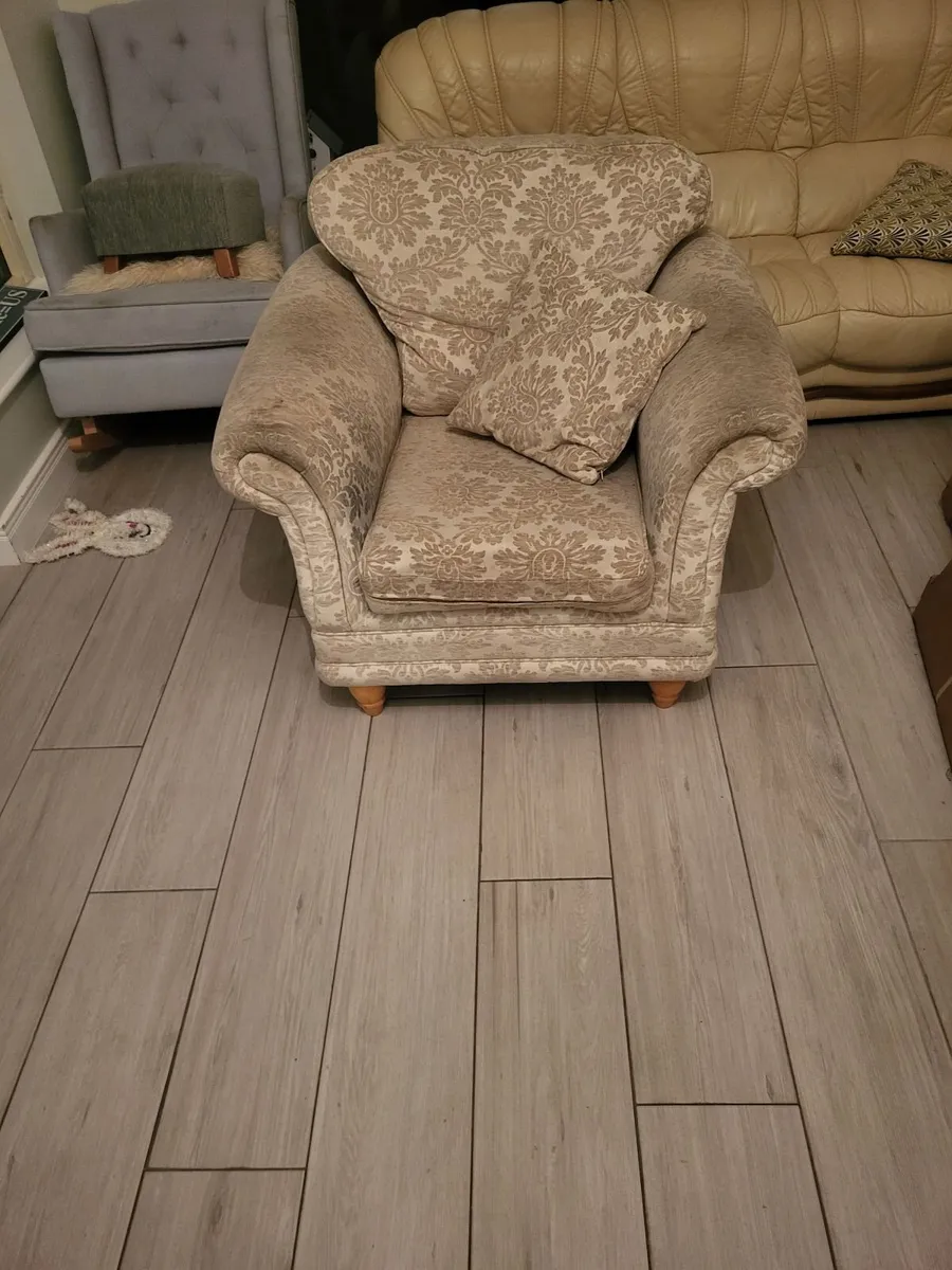 Arm Chairs x 2 - Image 1