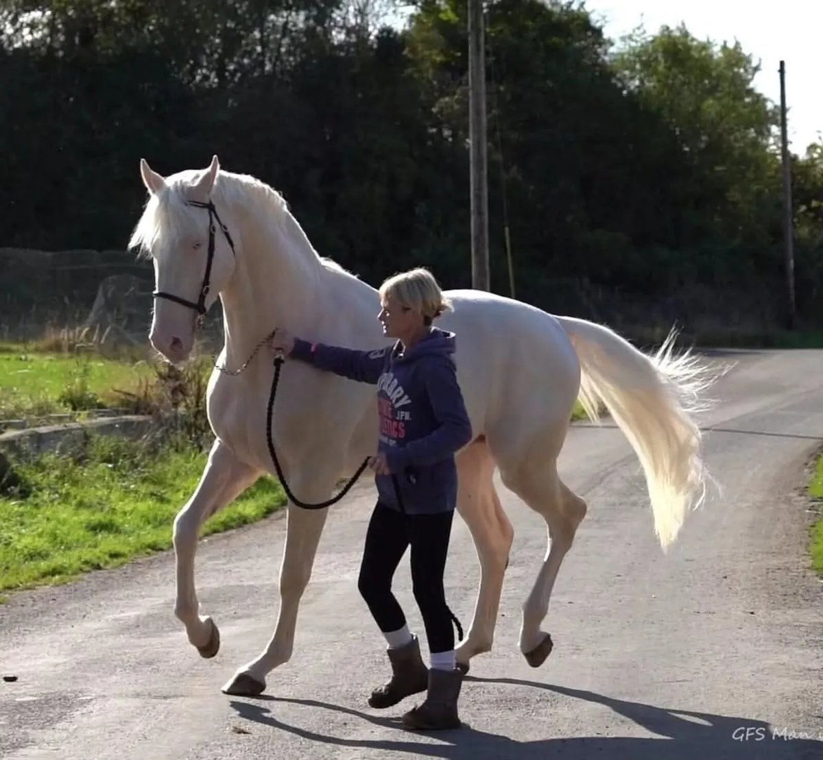 GFS Man in the moon stallion - Image 4