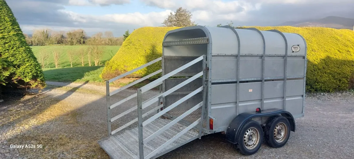 Cattle box - Image 1