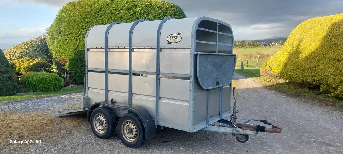 Cattle box - Image 3