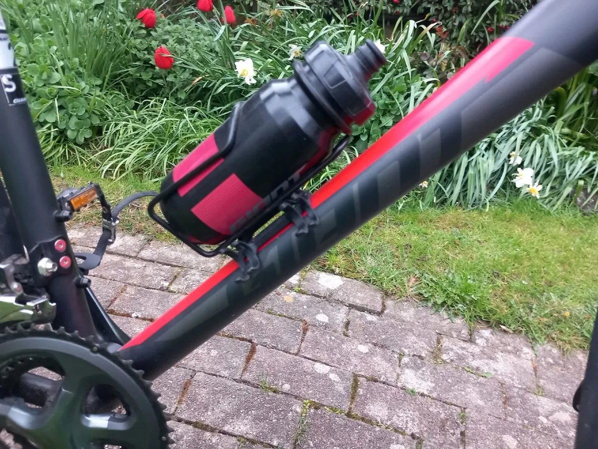 Giant Contend SL 2 (2019)  - Barely Used - Image 3