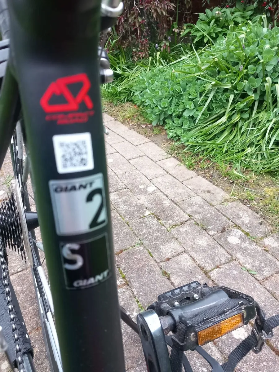 Giant Contend SL 2 (2019)  - Barely Used - Image 2