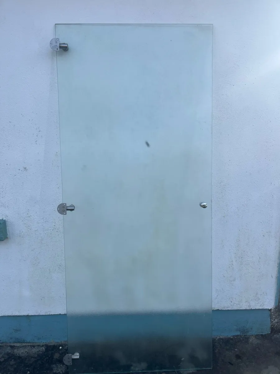 Shower door - Image 1