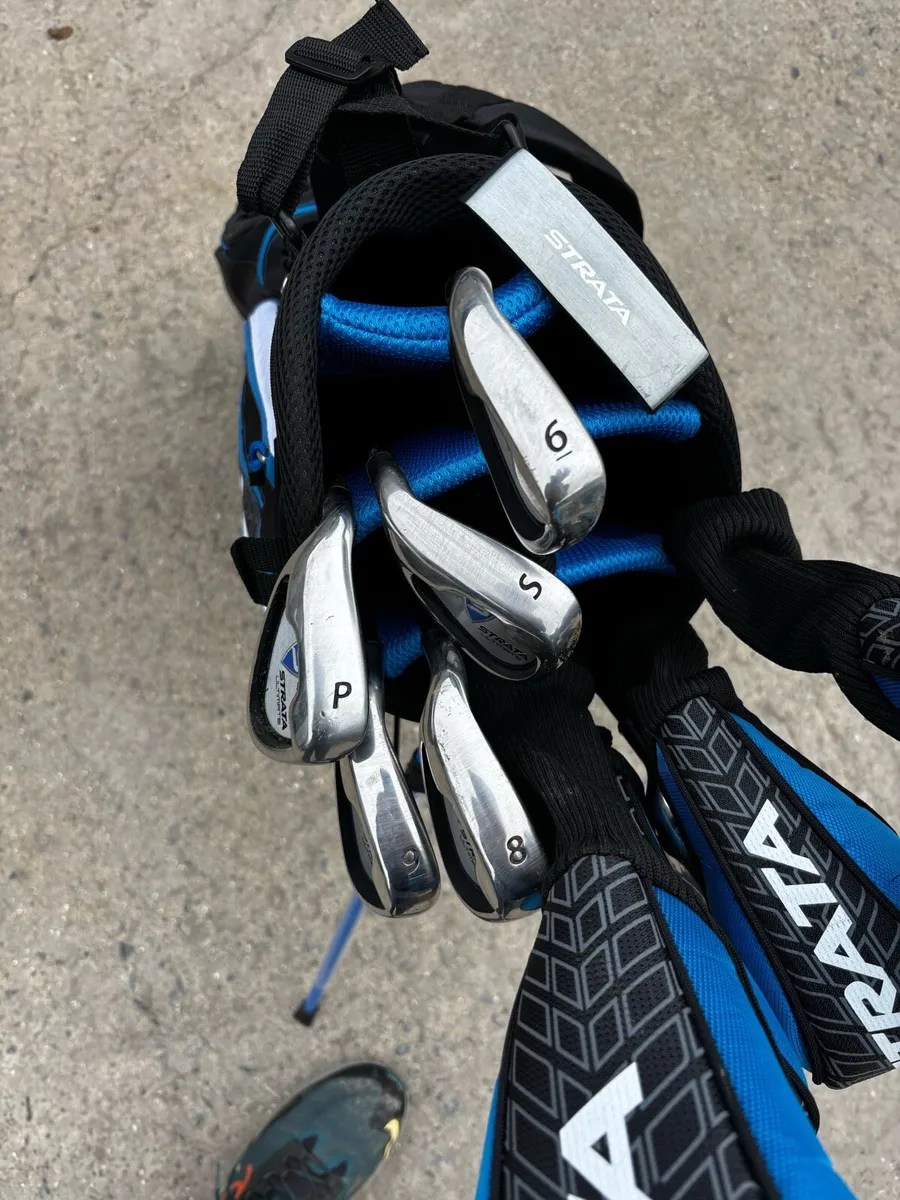 Callaway(left) strata intimate 16 piece men’s set - Image 3