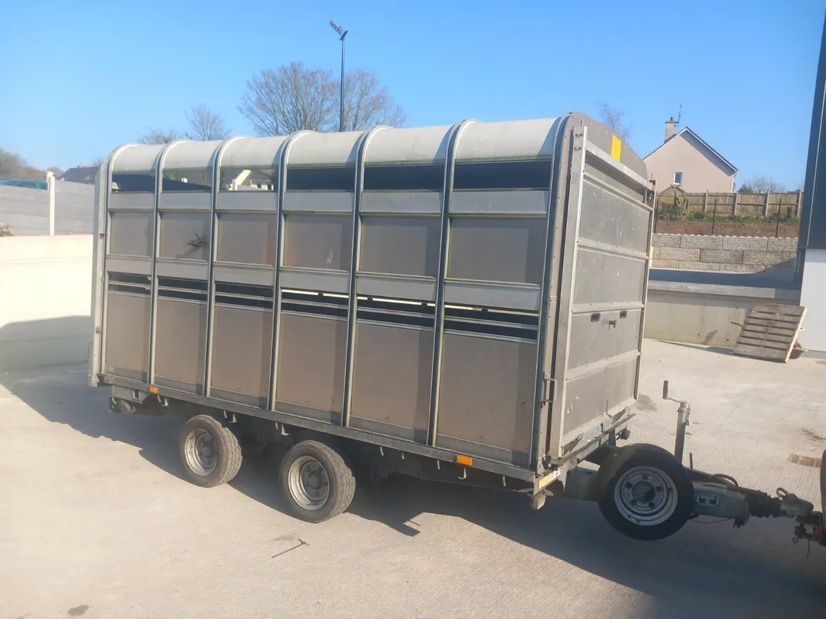 Ifor Williams - Image 3