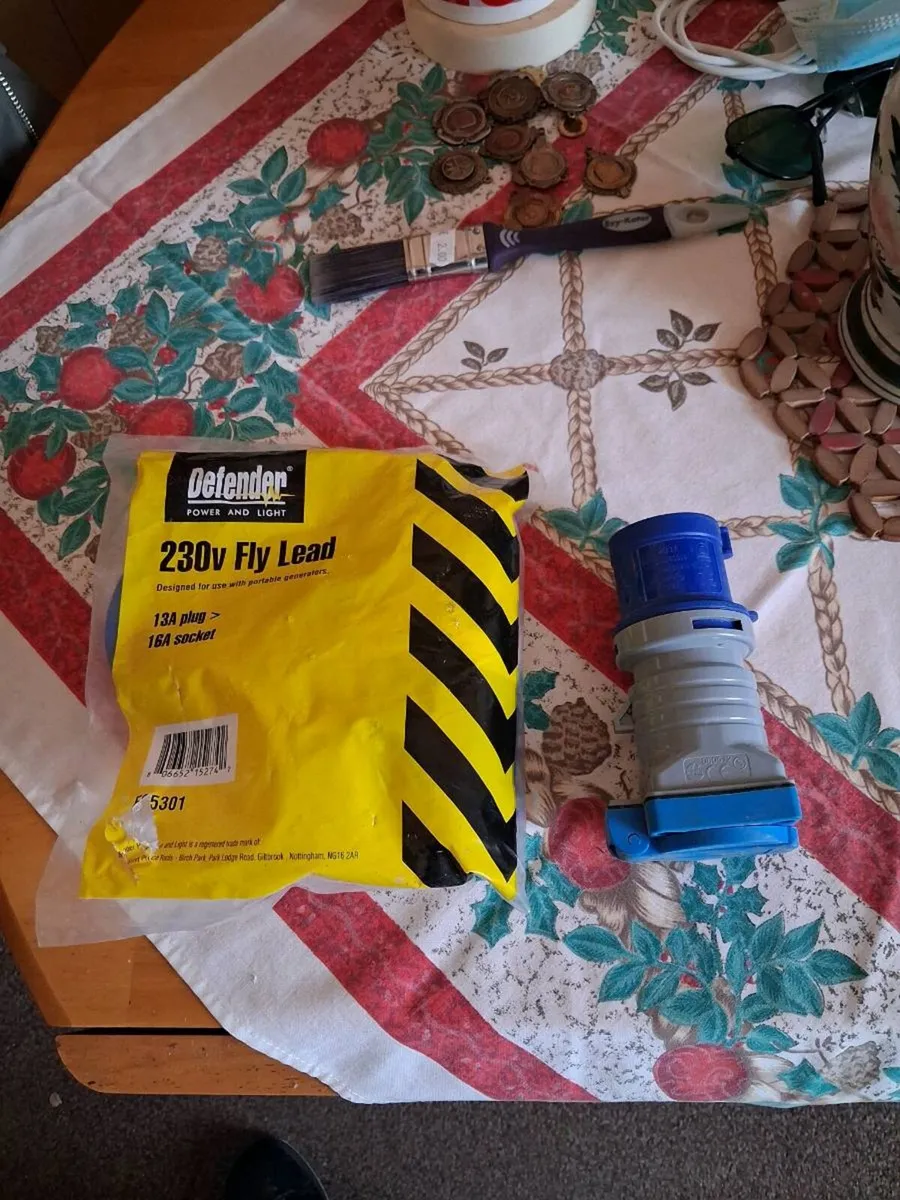 Fly lead + adapter - Image 1