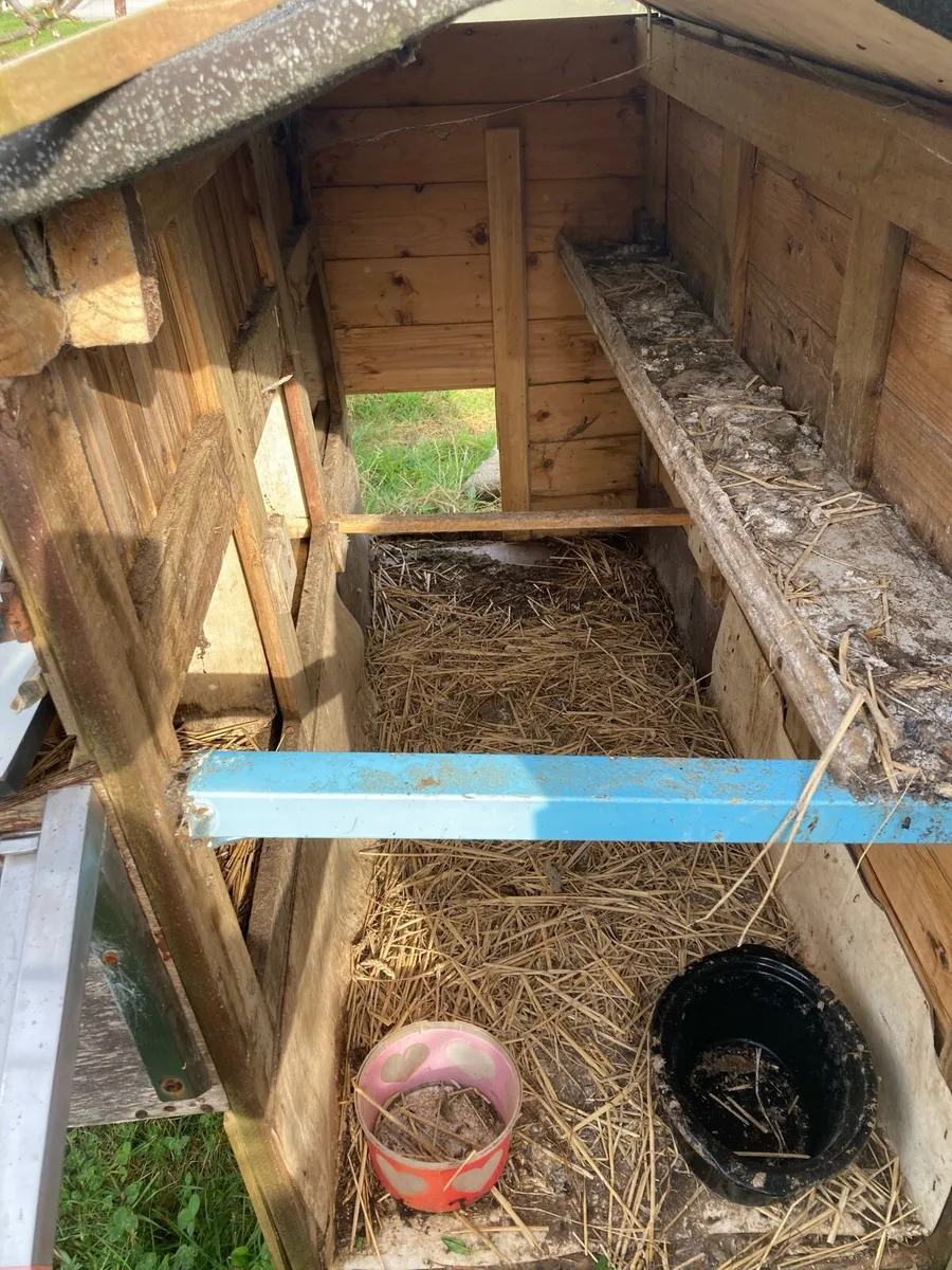 Hen House / Coop - Image 4