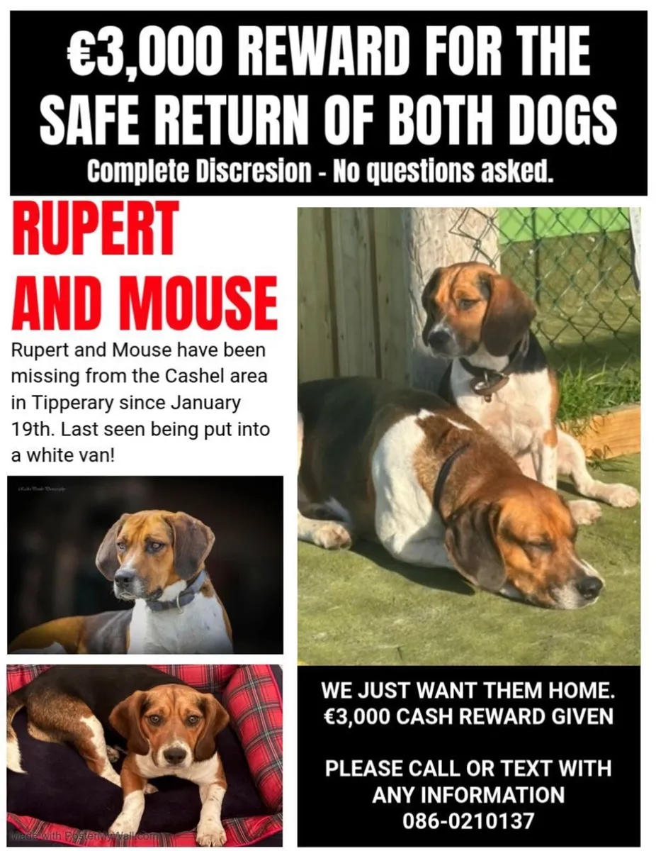 Mouse And Rupert : Reward offered - Image 1