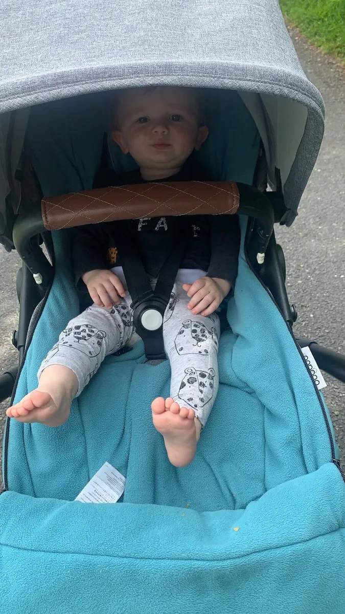 Buggaboo Fox - Image 4