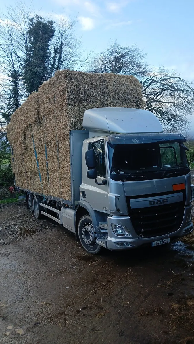 Wheaten straw round and square - Image 1