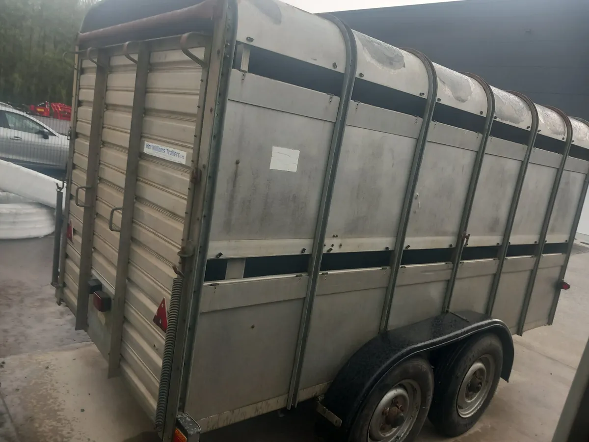 Ifor Williams Cow box - Image 3