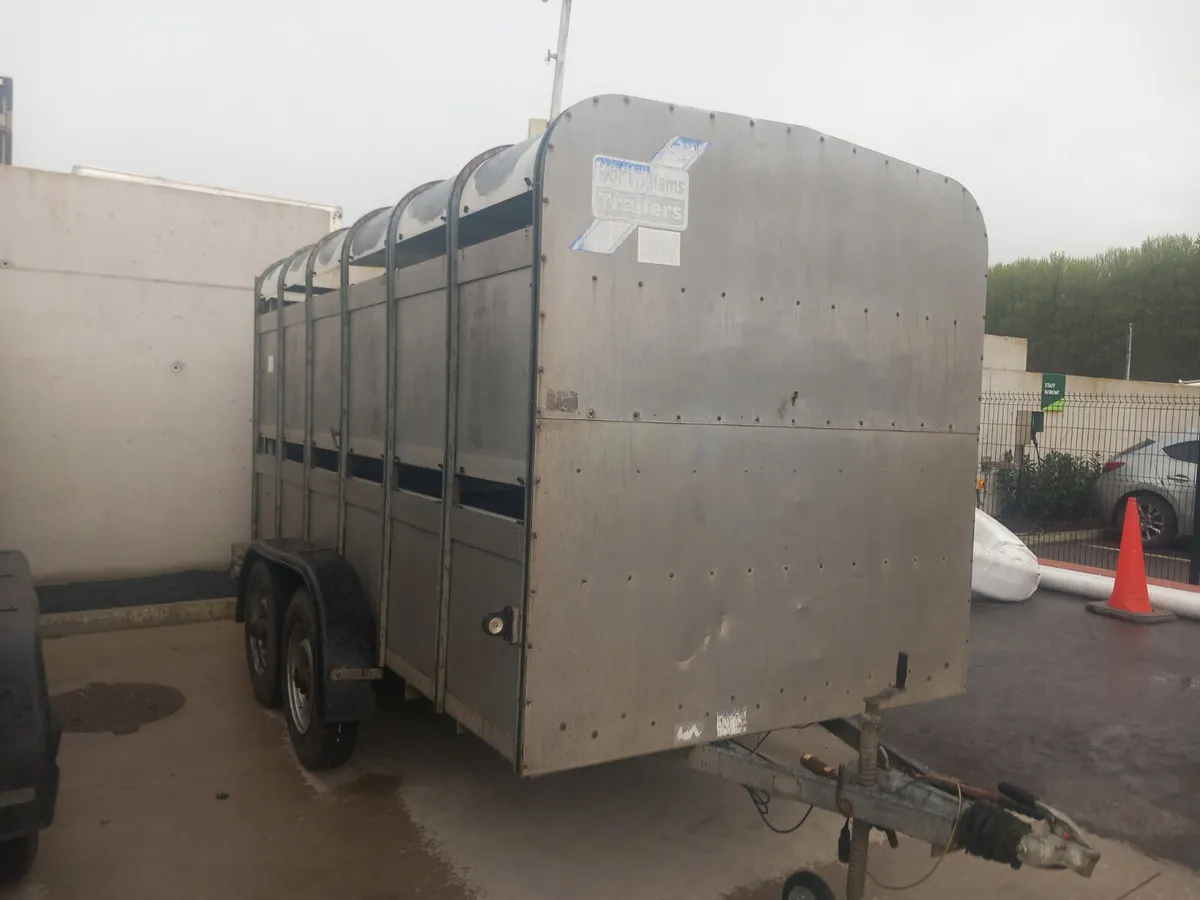 Ifor Williams Cow box - Image 4