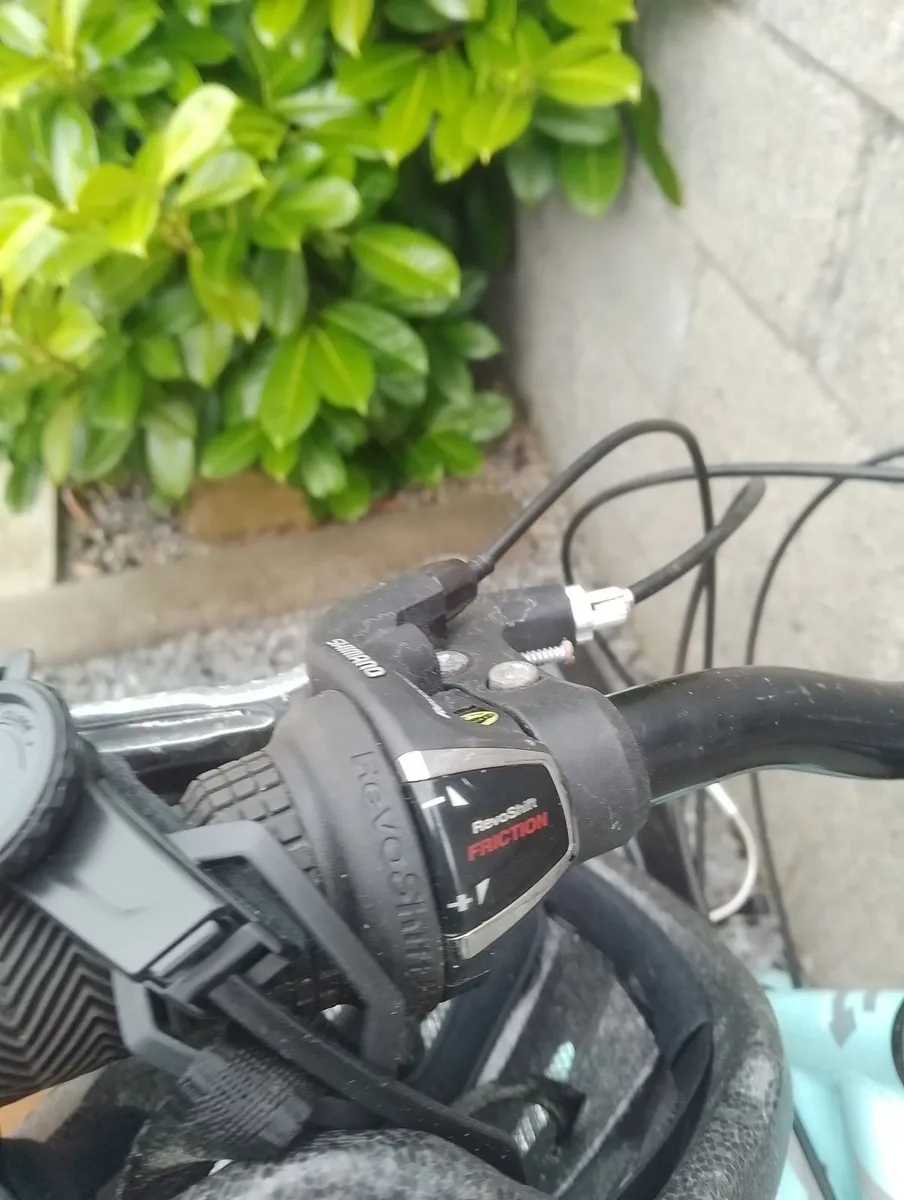 Shed clearance - Image 2