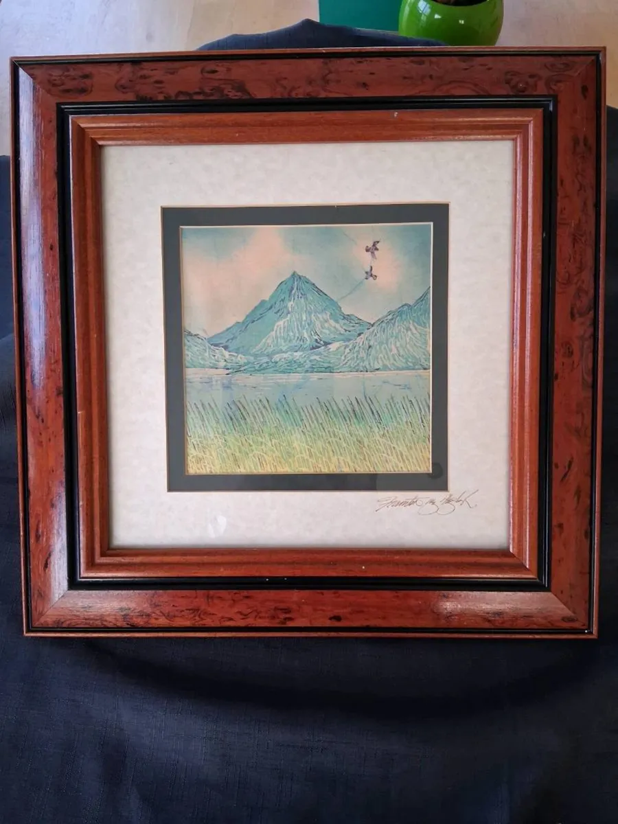 Framed Art Work By Fionnton Gogarty - Image 1