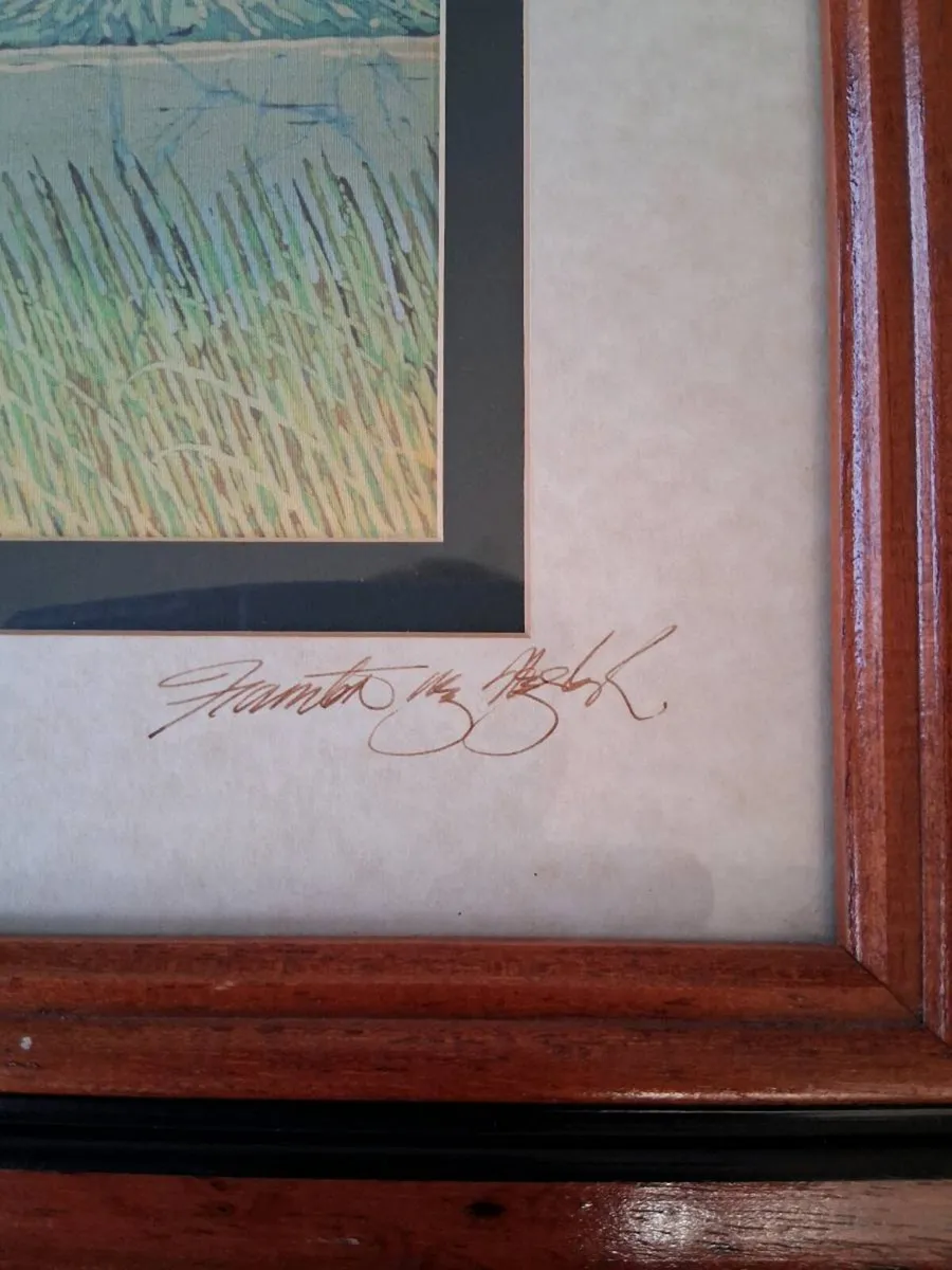 Framed Art Work By Fionnton Gogarty - Image 3