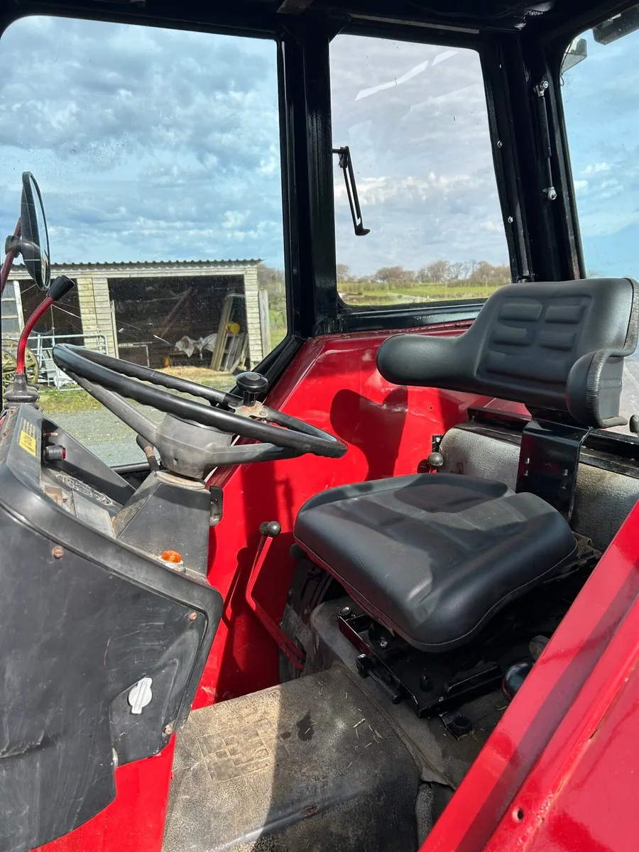 International 584 - Image 1