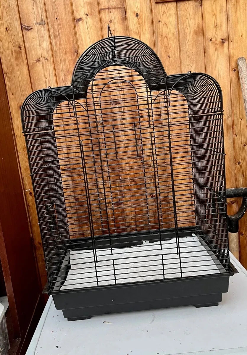 4 Love birds+ cages - Image 3