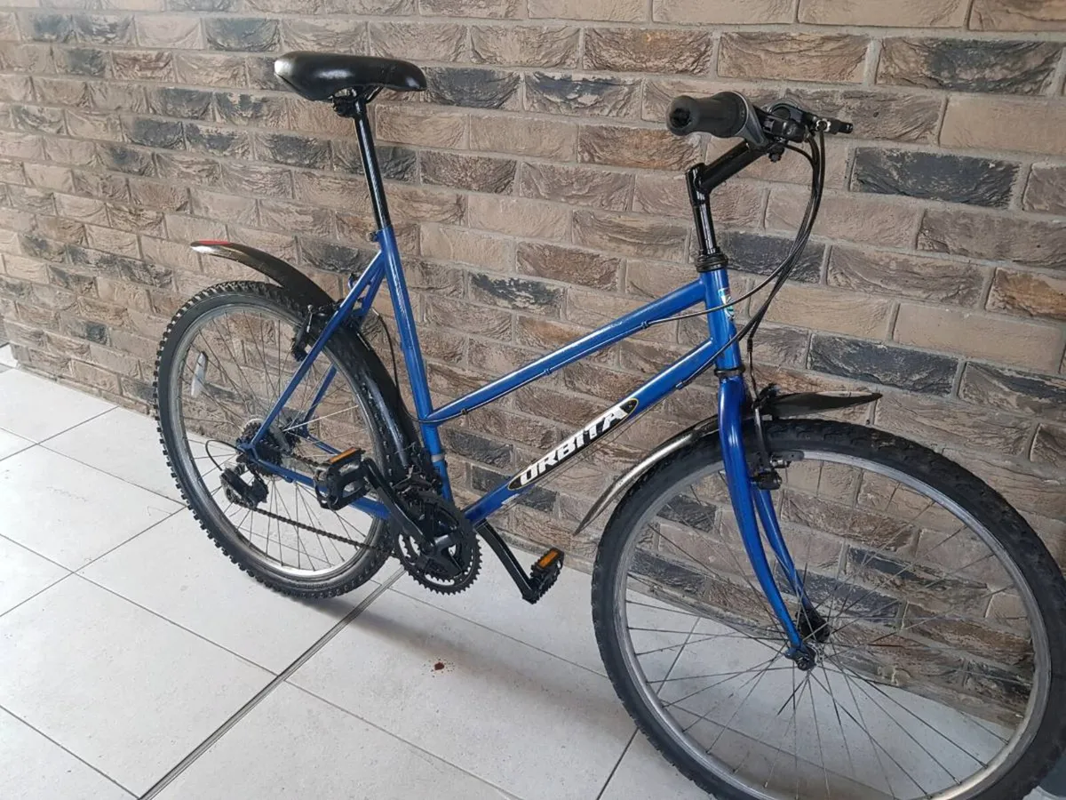 Ladies mountain bike