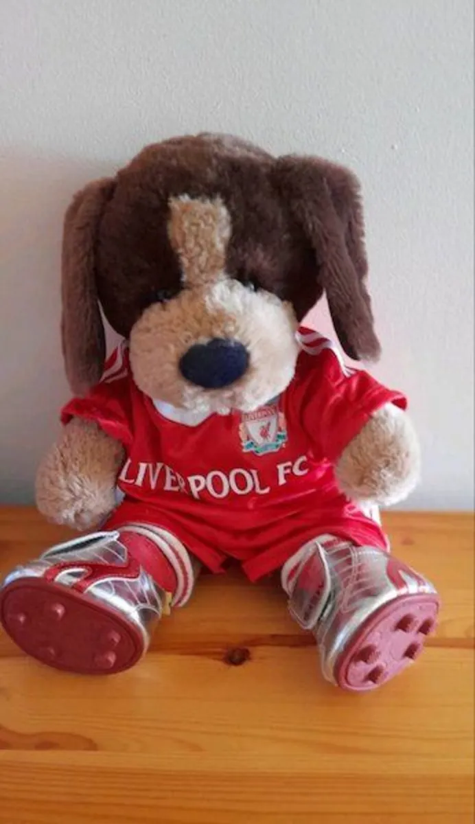 Buildabear dog wearing Liverpool kit