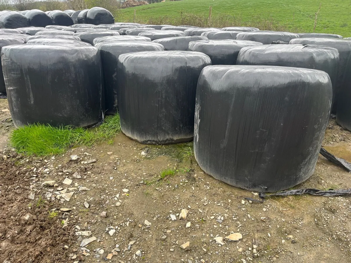 Silage €25 castleblaney
