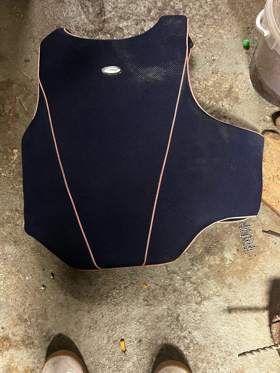 Champion Back Protector - Image 4