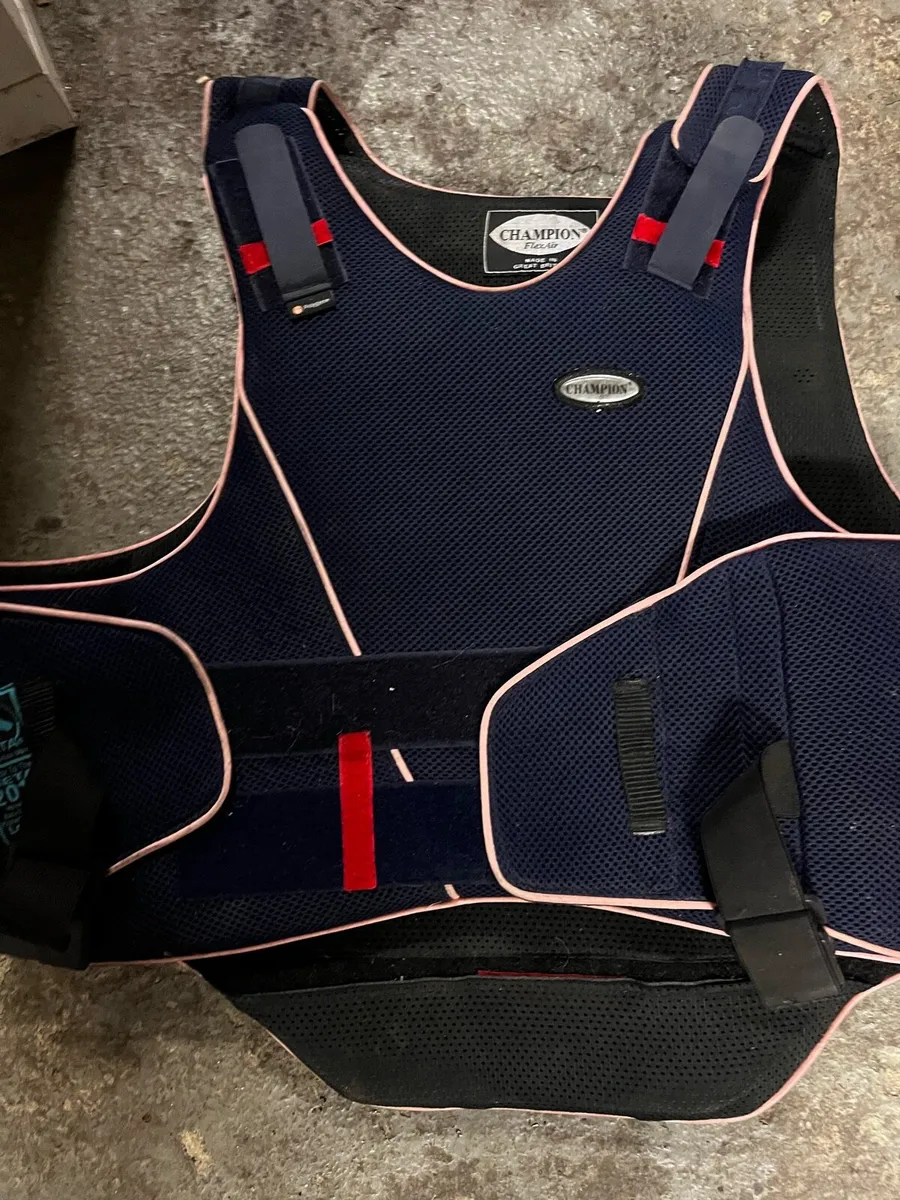 Champion Back Protector - Image 1