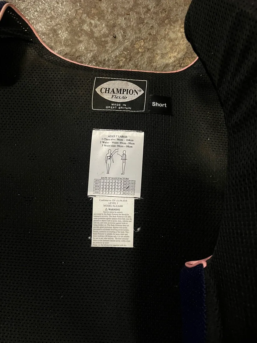Champion Back Protector - Image 2
