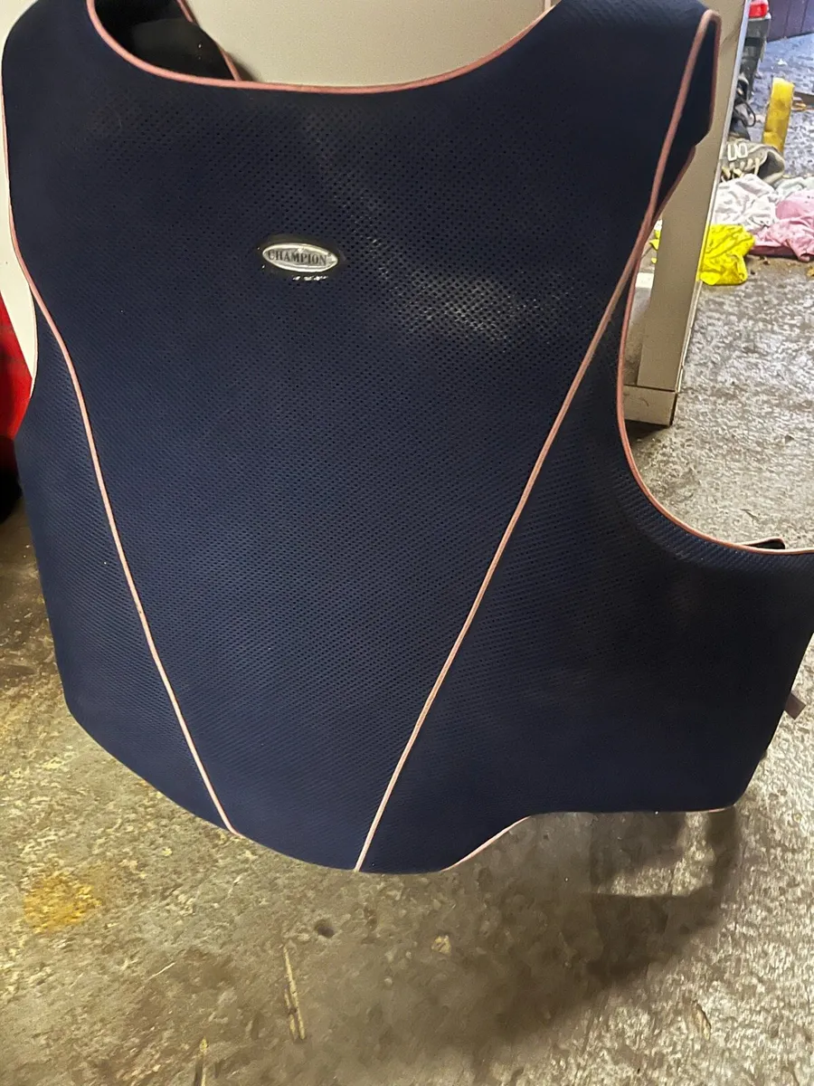 Champion Back Protector - Image 3