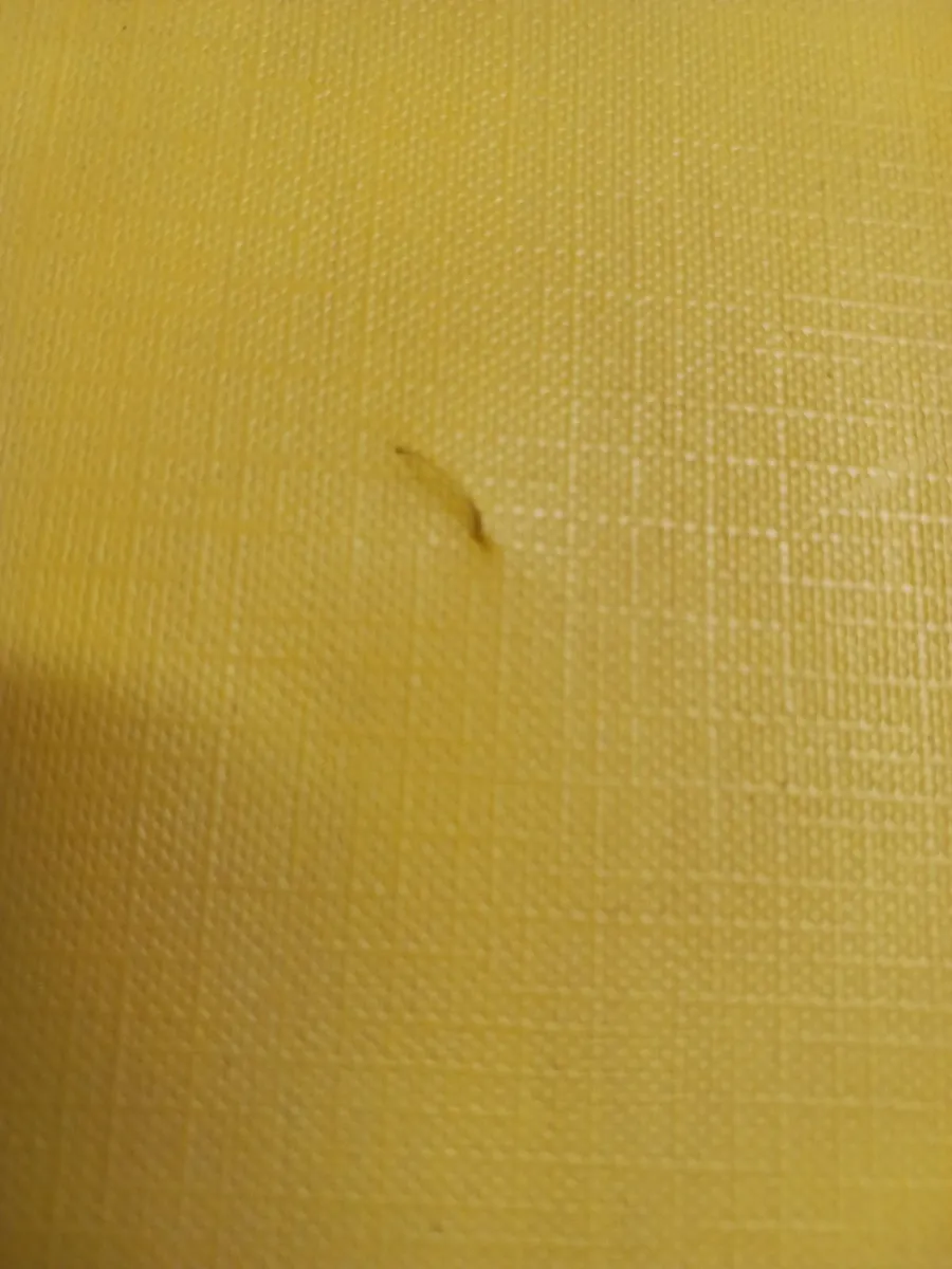 Multi-coloured Kids Playpen - Image 3