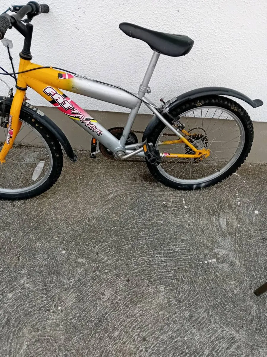 BOYS OR GIRLS BIKE 20 INCH WHEELS