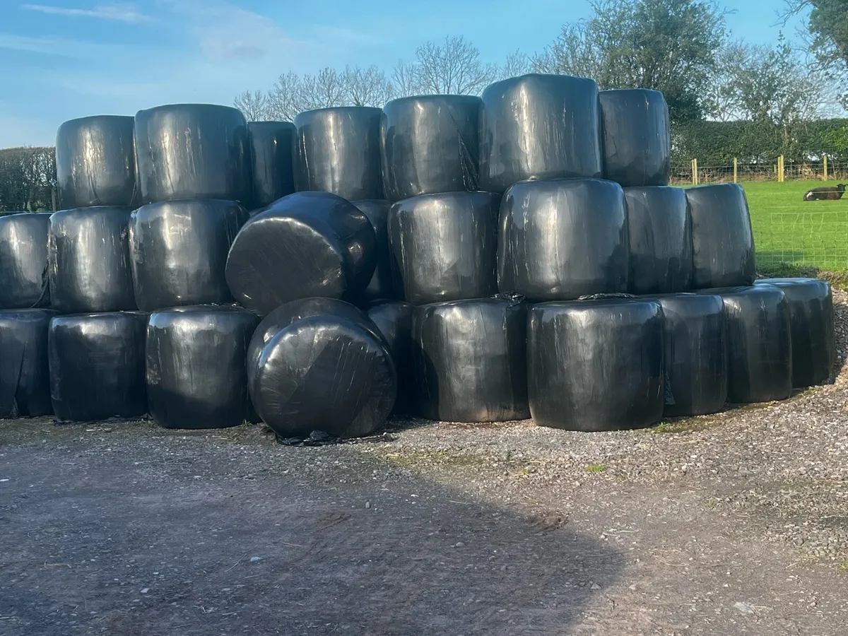 Round Bales