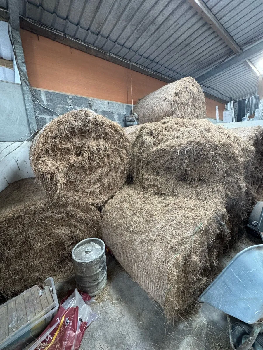 Hay and haylage - Image 2