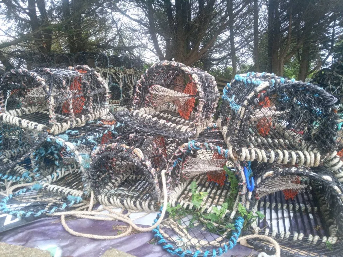 Lobsters pots - Image 1