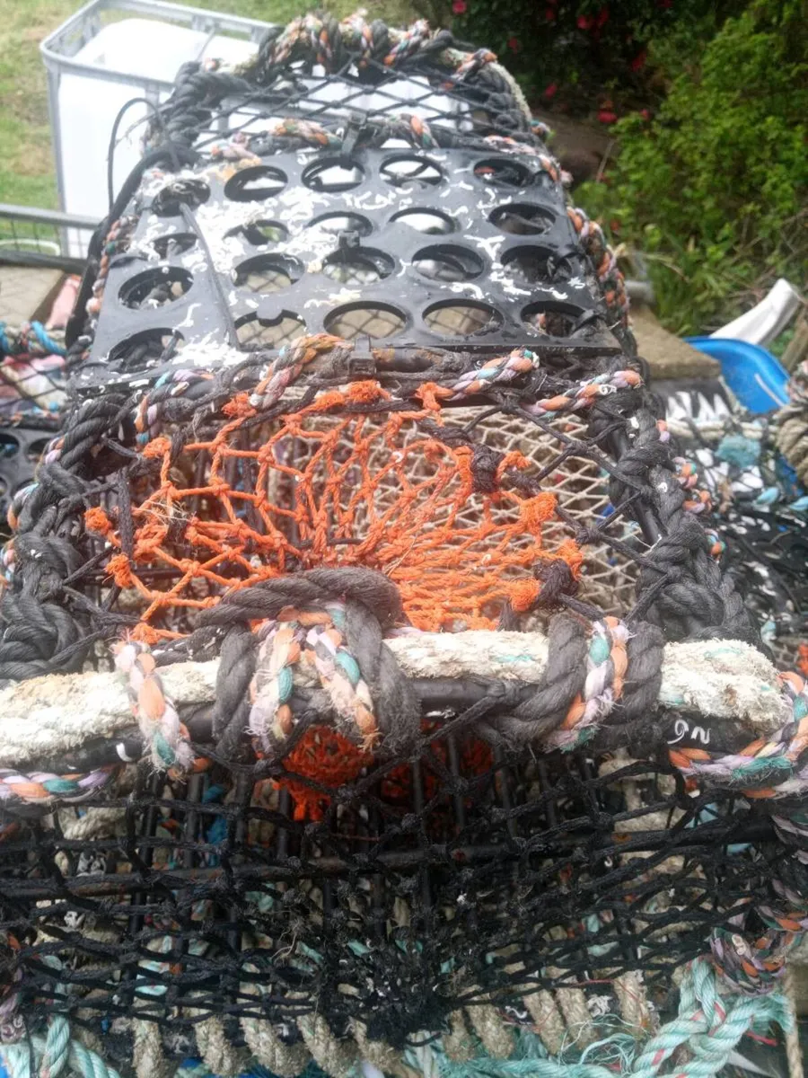 Lobsters pots - Image 2