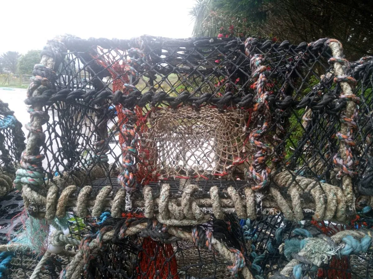 Lobsters pots - Image 3