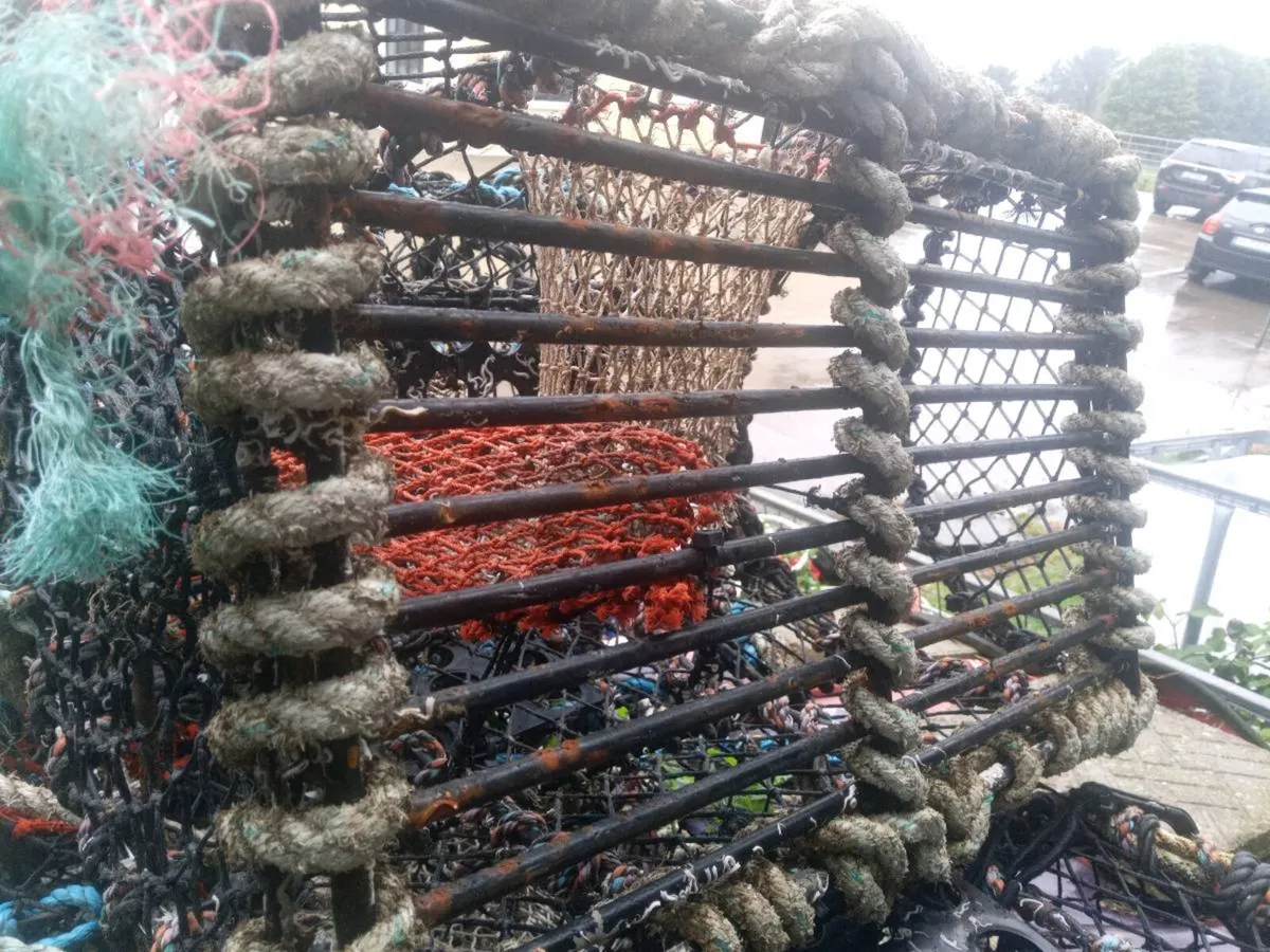 Lobsters pots - Image 4