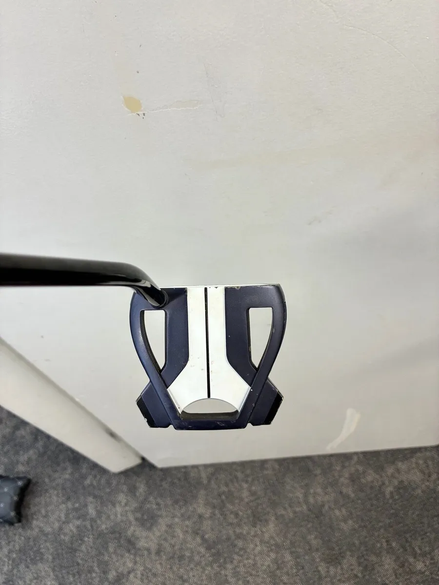 Taylormade Spider X - Image 1