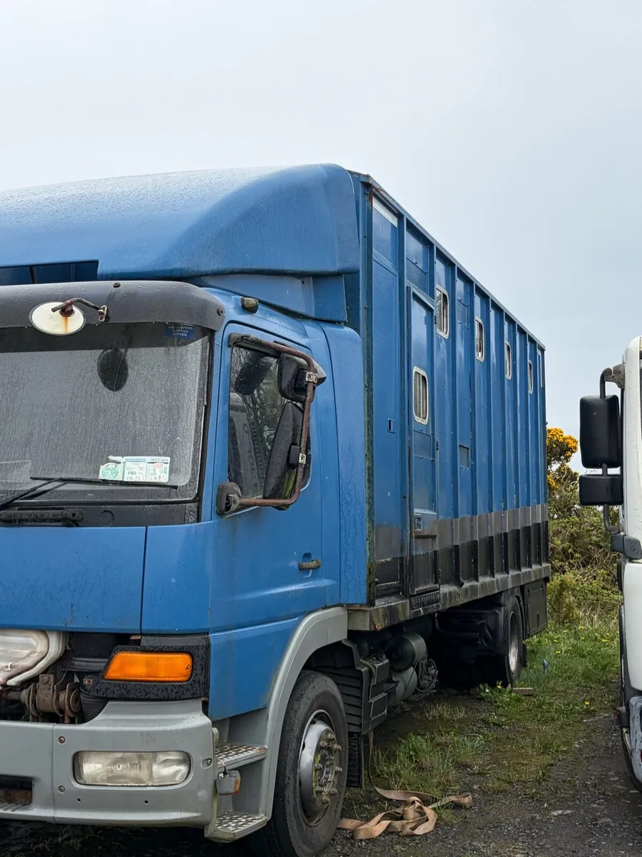 Mercedes 6 horse aluminum body with tack room - Image 1