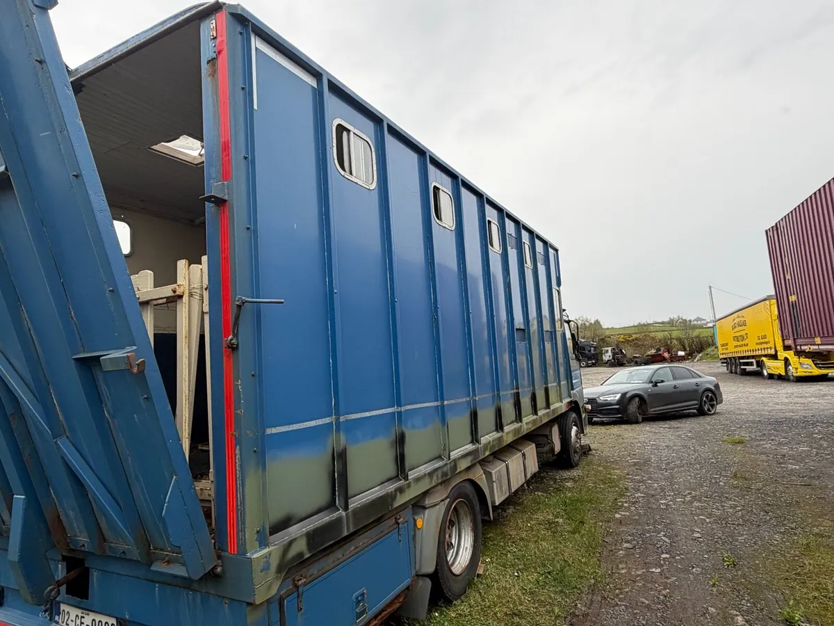 Mercedes 6 horse aluminum body with tack room - Image 2