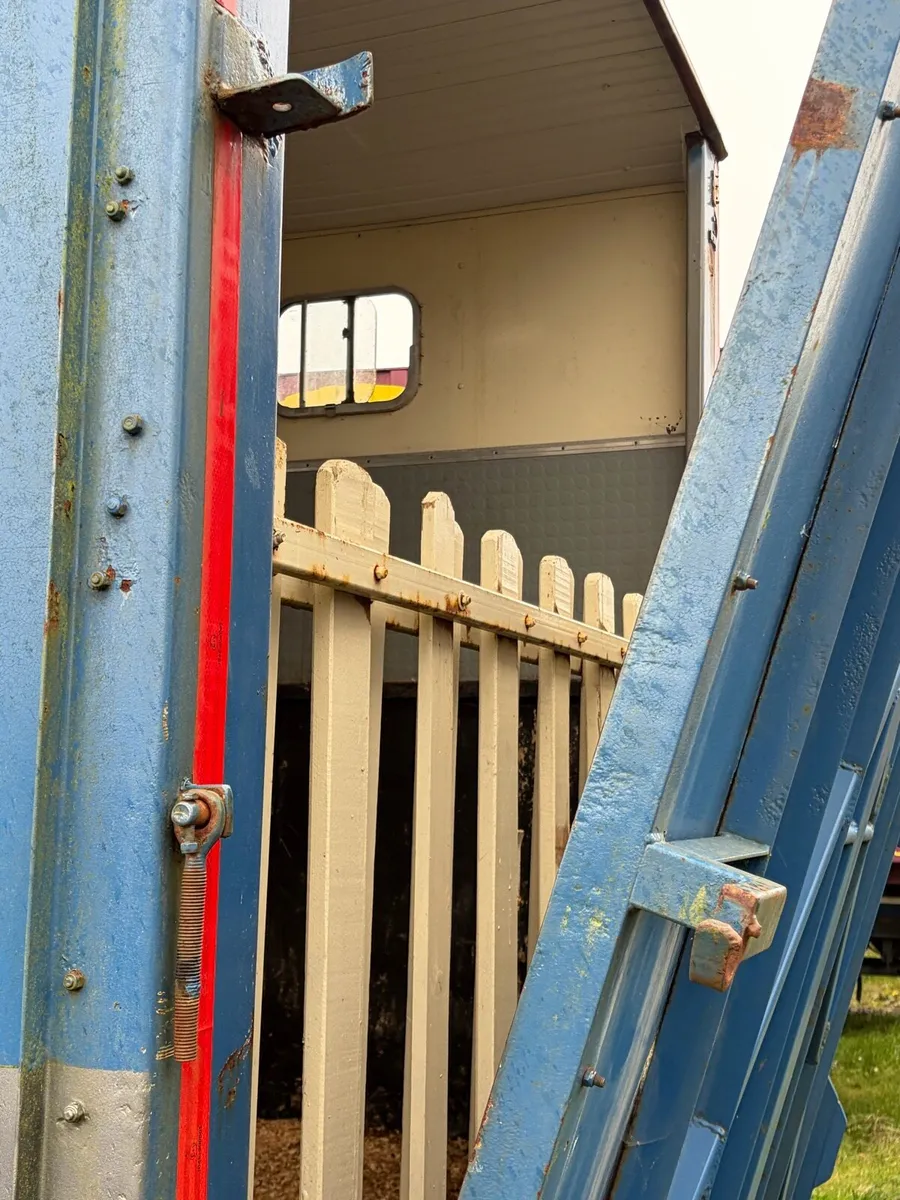 Mercedes 6 horse aluminum body with tack room - Image 3