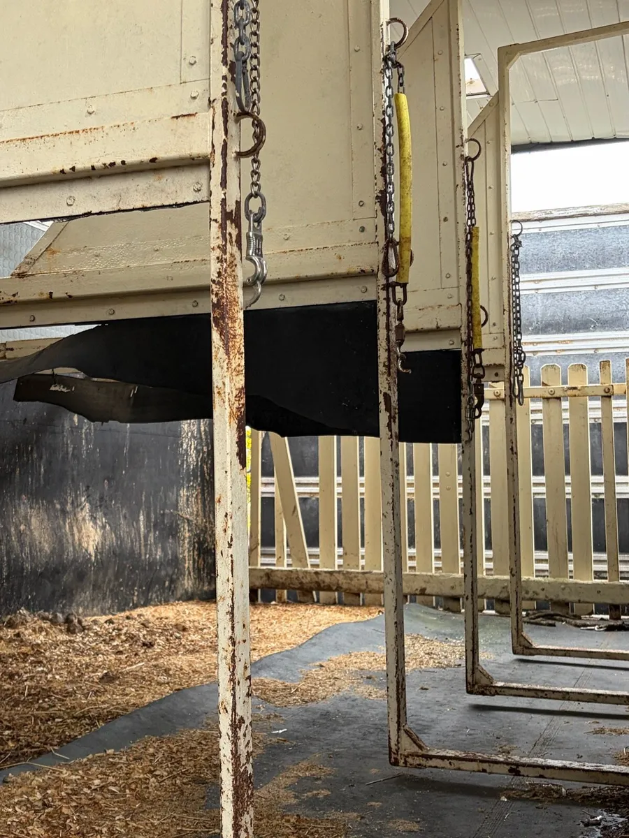 Mercedes 6 horse aluminum body with tack room - Image 4