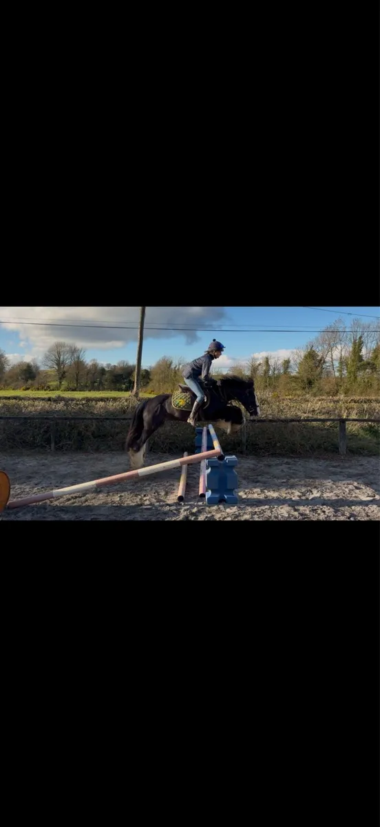 14h Allrounder - Image 2