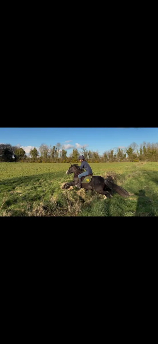 14h Allrounder - Image 3