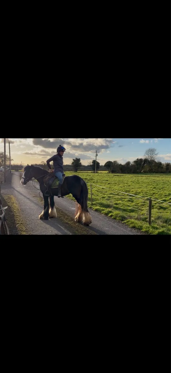 14h Allrounder - Image 4