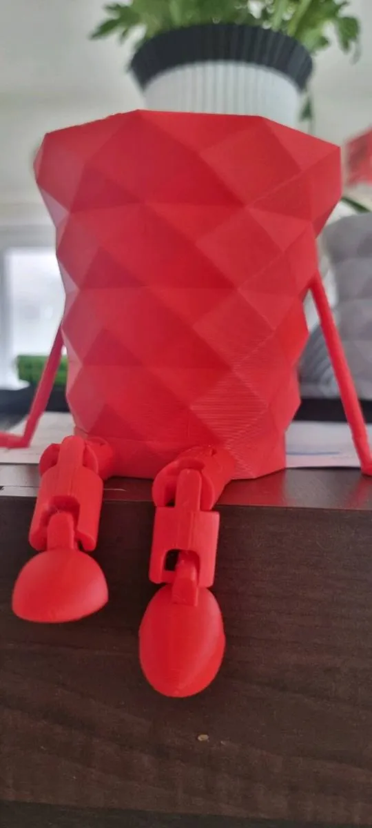 Lace Aloe Plants in Fun Decorative Pots - Image 1