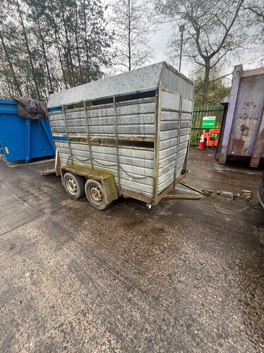 Twin axle Cattle box trailer - Image 1